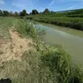 Il punto in cui il trattore si è ribaltato