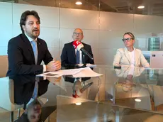 La presentazione del progetto in regione