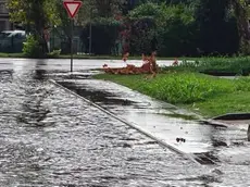 Diventa gialla per domani l'allerta per rischio idrogeologico in Veneto