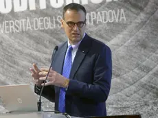 Stefano Bellon