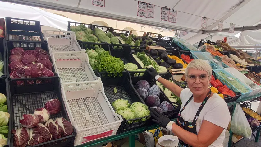 Caldo e siccità, dai banchi del mercato è sparita la scarola