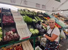 Caldo e siccità, dai banchi del mercato è sparita la scarola