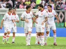 Report Editoriale