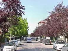 Via Carducci, dove è stato investito e ucciso l'84enne