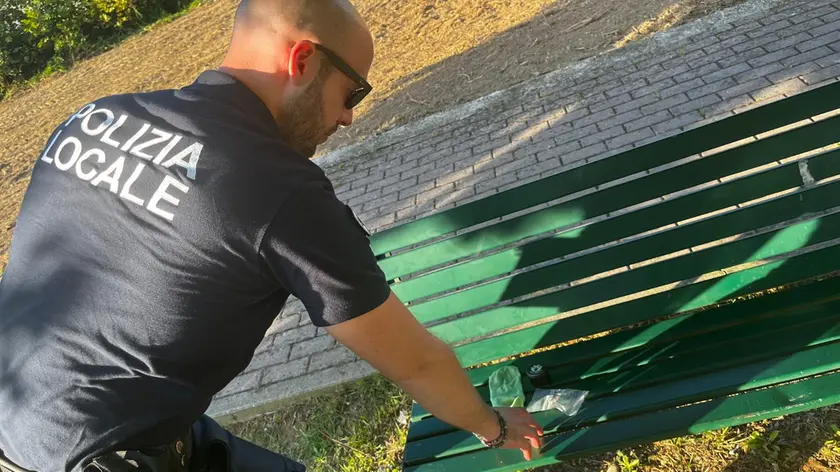 La droga trovata al parco