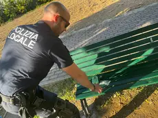 La droga trovata al parco