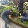 Il ritrovamento nel giardinetto