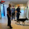 I controlli dei carabinieri a scuola