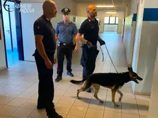 I controlli dei carabinieri a scuola