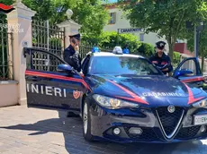 Sul fatto indagano i carabinieri di Abano Terme