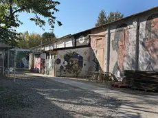 Il centro sociale Pedro all'Arcella