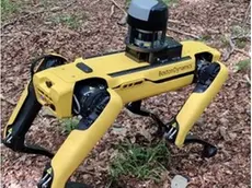 Uno dei prototipi di “cane robot” in uso in agricoltura in vari Paesi