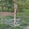Un traliccio che non è stato sistemato