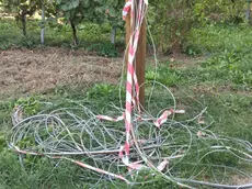 Un traliccio che non è stato sistemato