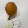 Il palloncino atterrato vicino alla scuola primaria di Majano