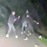 Un frame della rissa in Baita al Lago
