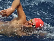 Alberto Zamattio
