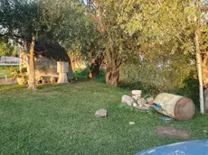 L’atto vandalico alla Madonnina del Bosco a Megliadino San Vitale