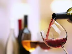 Tredici gli Amarone premiati, con annate che vanno dal 2017 al 2022