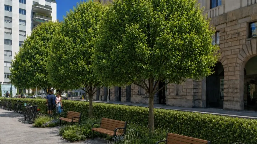 Un parco in centro a Padova: rendering