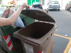 Un bidone dell'umido