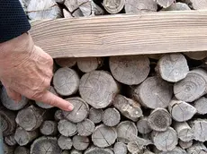 Il segno dei pallini contro la catasta di legno del giardino