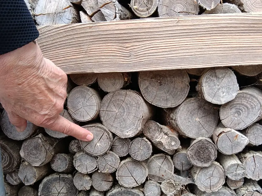 Il segno dei pallini contro la catasta di legno del giardino