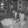 I ladri ripresi dalla videosorveglia