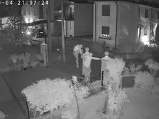 I ladri ripresi dalla videosorveglia