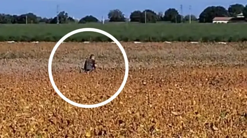 Cacciatore spara vicino al maneggio, ferito un cavallo: «Paura per animali e bambini»