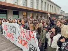 Gli studente del Valle in corteo