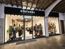 Il nuovo negozio Stefanel in via Roma a Padova