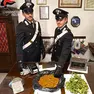 Il materiale sequestrato