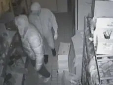 Banditi incappucciati in azione (foto d'archivio)