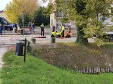 I soccorsi al pedone investito (foto Simone Marchetto)