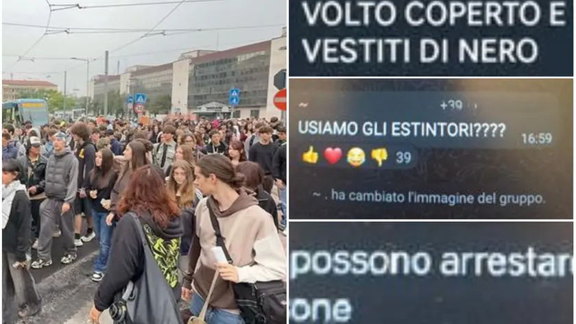 Le chat prima della manifestazione