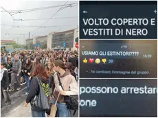 Le chat prima della manifestazione
