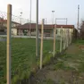 Il confine oggetto della controversia