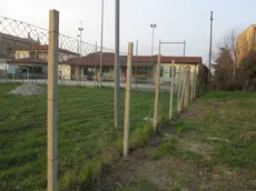 Il confine oggetto della controversia