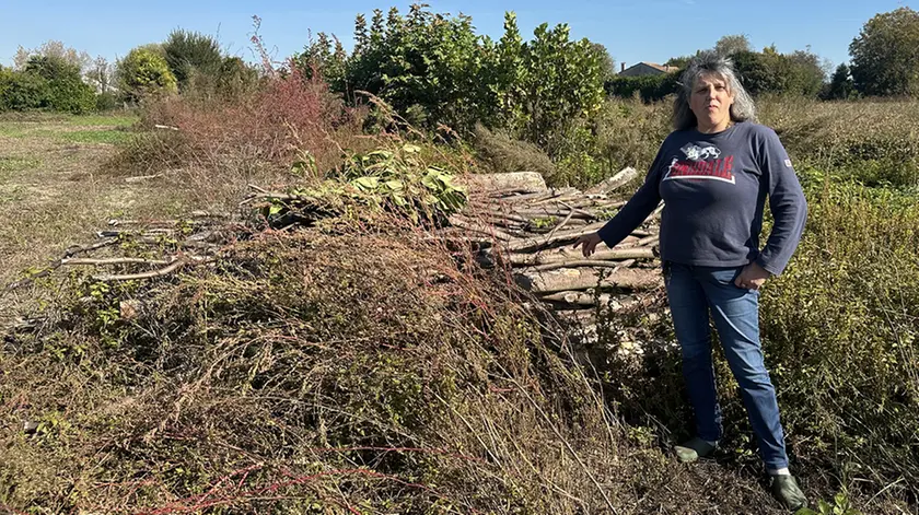 Ileana Miotto nel suo terreno spesso saccheggiato (Foto Piran)