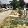 Compra un loculo ma lo trova occupato al cimitero di Torre
