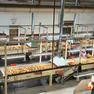 Lo stabilimento di trasformazione di tabacco a Città di Castello in Umbria