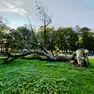 L’antico noce giace senza vita nel verde di Villa Contarini ( foto di Carlo Mion)