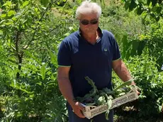 La vittima Alessandro Fasolo