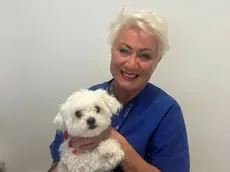 La veterinaria Lucia Vaccaro