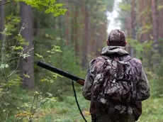 Un cacciatore nel bosco