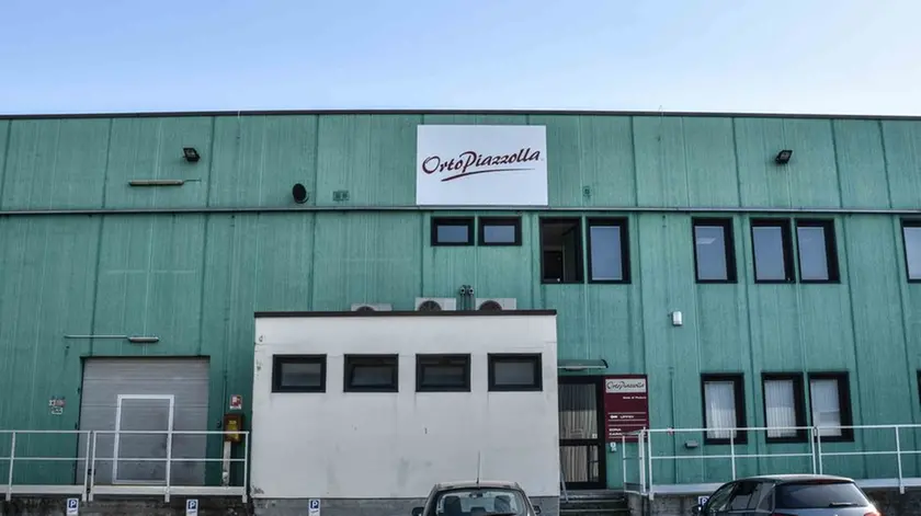 BARON-AGENZIA BIANCHI-PADOVA-ESTERNI AZIENDA ORTO PIAZZOLLA. ESTERNI
