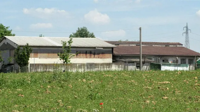 BELLUCO SEQUESTRO STALLA VIA BOSCHIERA 41 PIAZZOLA SUL BRENTA