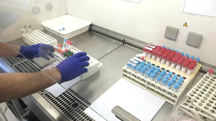 LABORATORIO VIROLOGIA COVID2 VIRUS OSPEDALE CISANELLO PISA - PISA CITTA SCENE VITA QUOTIDIANA ORDINAZA MINISTERIALE CHIUSURA EMERGENZA CORONAVIRUS - GIORNO 30..In caso di qualsiasi pubblicazione/ripubblicazione delle immagini/video, utilizzare esclusivamente nel contesto giornalistico specifico cui fa riferimento l'evento stesso della notizia, pena decadenza della Responsabilità e Manleve da parte dell'Auotre, come da art. 7 e 8.2, della Scrittura Contrattuale prevista da GEDI NEWS NETWORK.