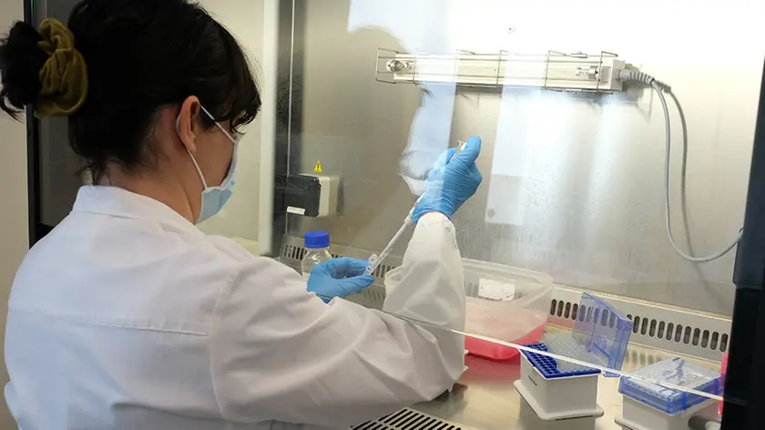 All'Istituto Zooprofilattico sperimentale delle Venezie si studiano le varianti del Covid
